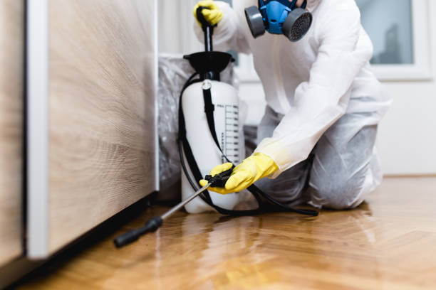 Best Best Pest Control Companies  in North Boston, NY