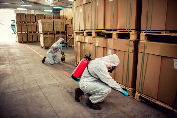 Trusted North Boston, NY Pest Control Experts