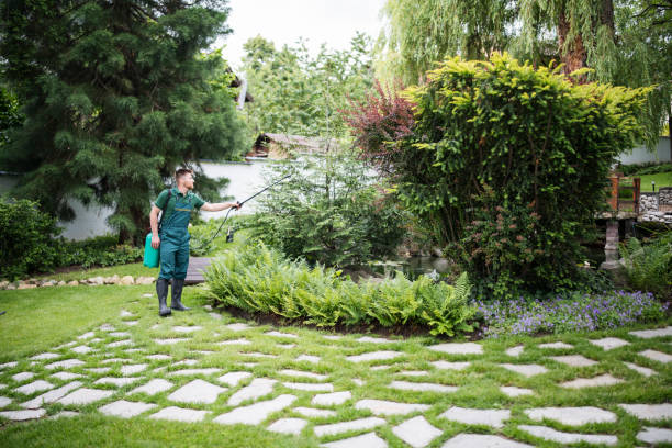 Best Affordable Pest Control Services  in North Boston, NY