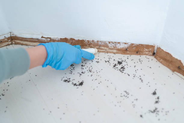 Best Pest Control for Restaurants  in North Boston, NY
